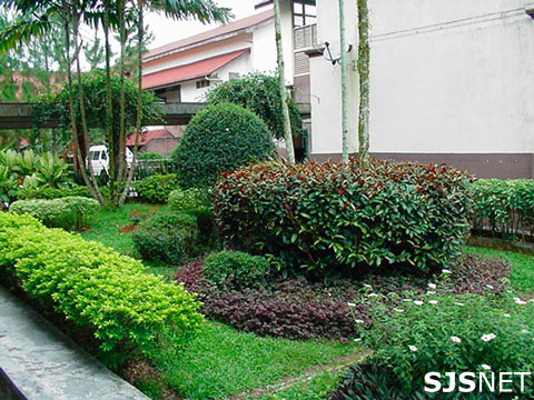 taman-04.jpg